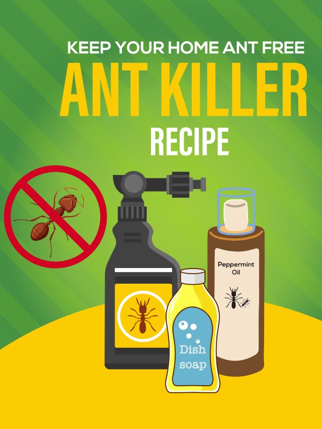 Eco-Friendly Ant Killer Recipe That Works!